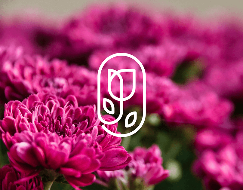 Bloomery Branding — branding design